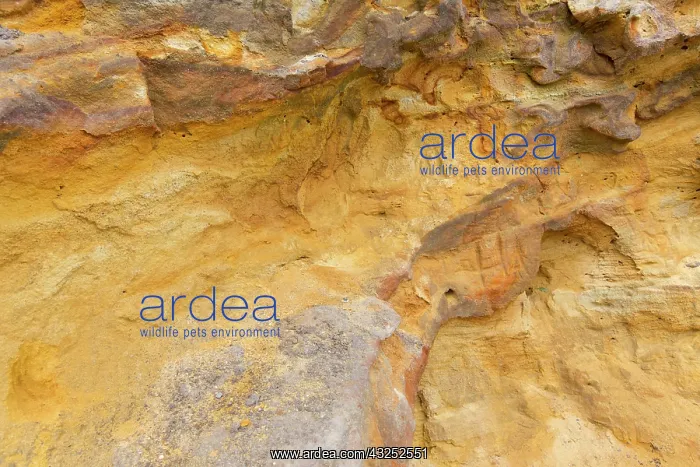 : Morsum-Kliff / Morsum ciff - a geological monument : Morsum-Kliff / Morsum ciff - a geological monument