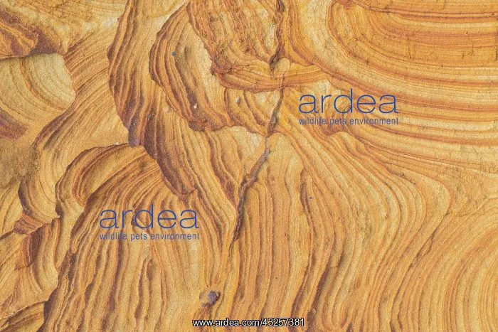 : Morsum-Kliff / Morsum ciff - a geological monument : Morsum-Kliff / Morsum ciff - a geological monument