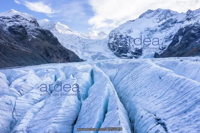 : Morteratsch Glacier, Bernina Group with Piz Bernina : Morteratsch Glacier, Bernina Group with Piz Bernina