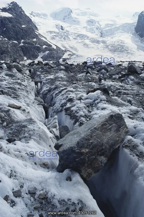 : Morteratsch Glacier, Switzerland : Morteratsch Glacier, Switzerland