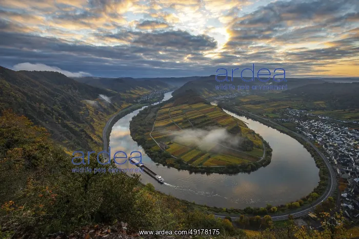 : The Moselle bend, a beautiful river : The Moselle bend, a beautiful river