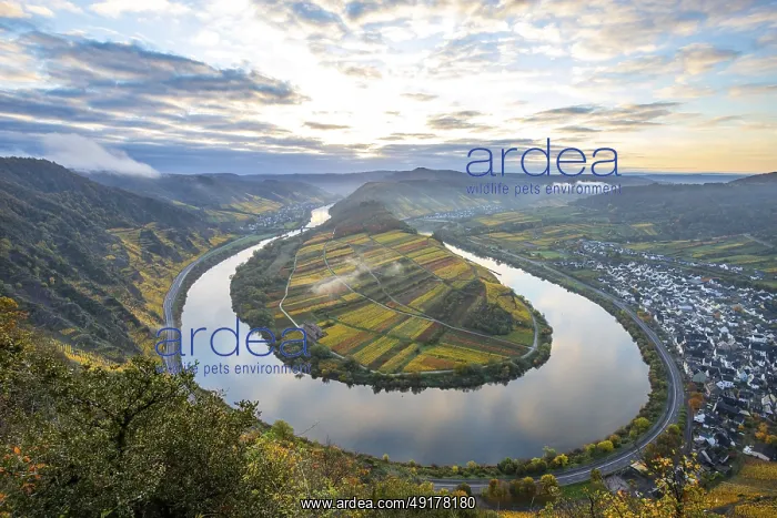 : The Moselle bend, a beautiful river : The Moselle bend, a beautiful river