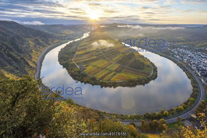 : The Moselle bend, a beautiful river : The Moselle bend, a beautiful river