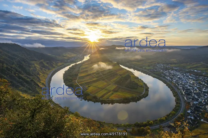 : The Moselle bend, a beautiful river : The Moselle bend, a beautiful river