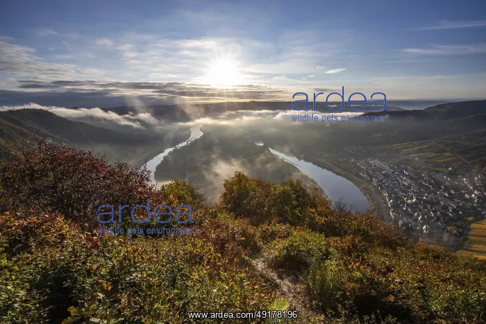 : The Moselle bend, a beautiful river : The Moselle bend, a beautiful river