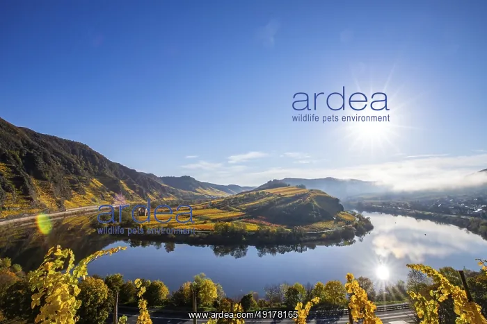 : The Moselle Loop, a beautiful river makes a 180-degree loop : The Moselle Loop, a beautiful river makes a 180-degree loop
