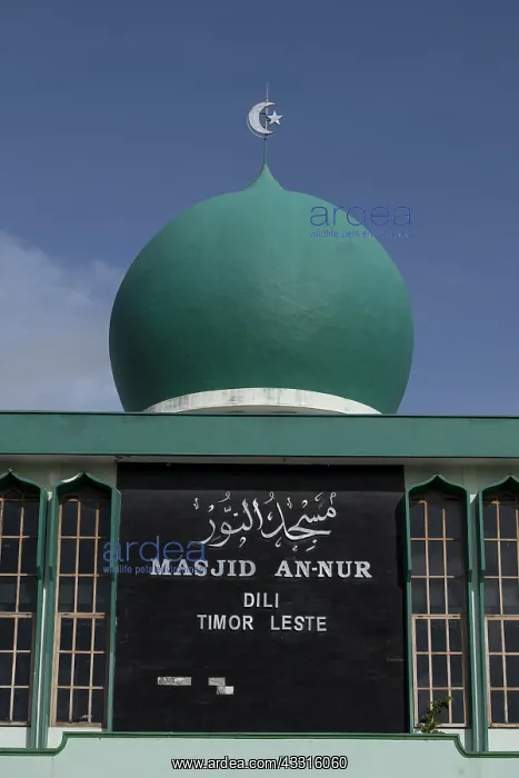 : Mosque - dome with screscent - Mosque (Masjid An-Nur) : Mosque - dome with screscent - Mosque (Masjid An-Nur)