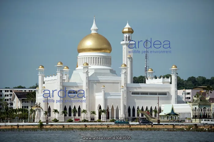 : Mosque by river Opulent Sultan Omar Ali Saifuddien : Mosque by river Opulent Sultan Omar Ali Saifuddien