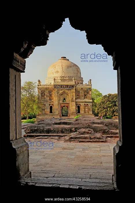 : Mosque of Sheesh Gumbad, Lodhi Gardens : Mosque of Sheesh Gumbad, Lodhi Gardens