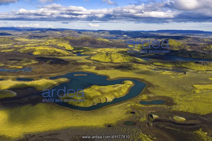 : Moss-covered landscape and lakes in the Icelandic Highlands : Moss-covered landscape and lakes in the Icelandic Highlands