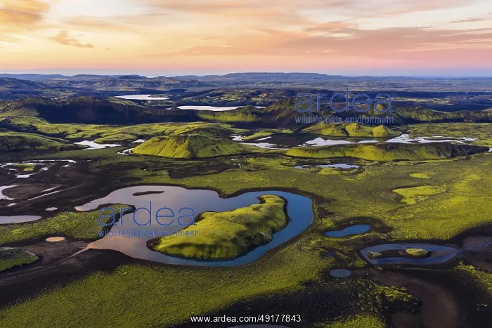 : Moss-covered landscape and lakes in the Icelandic Highlands : Moss-covered landscape and lakes in the Icelandic Highlands