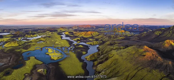 : Moss-covered landscape and lakes in the Icelandic Highlands : Moss-covered landscape and lakes in the Icelandic Highlands