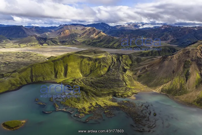 : Moss-covered lava field, Landmannalaugar : Moss-covered lava field, Landmannalaugar