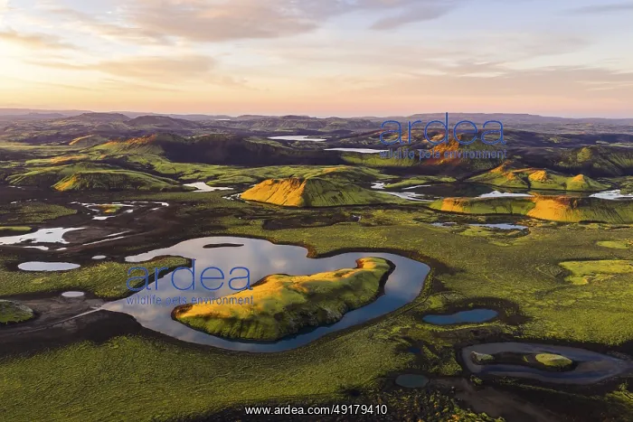 : Mossy landscape and lakes at sunrise : Mossy landscape and lakes at sunrise