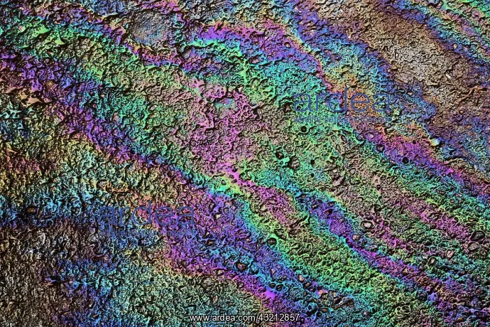 : Motor oil creating rainbow pattern on pavement : Motor oil creating rainbow pattern on pavement