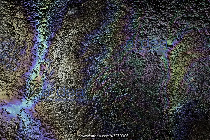 : Motor oil creating rainbow pattern on pavement : Motor oil creating rainbow pattern on pavement