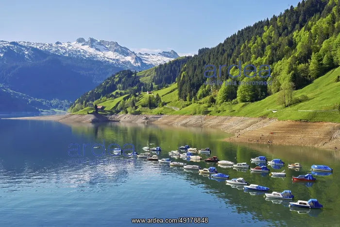 : Motorboats moored at the reservoir : Motorboats moored at the reservoir