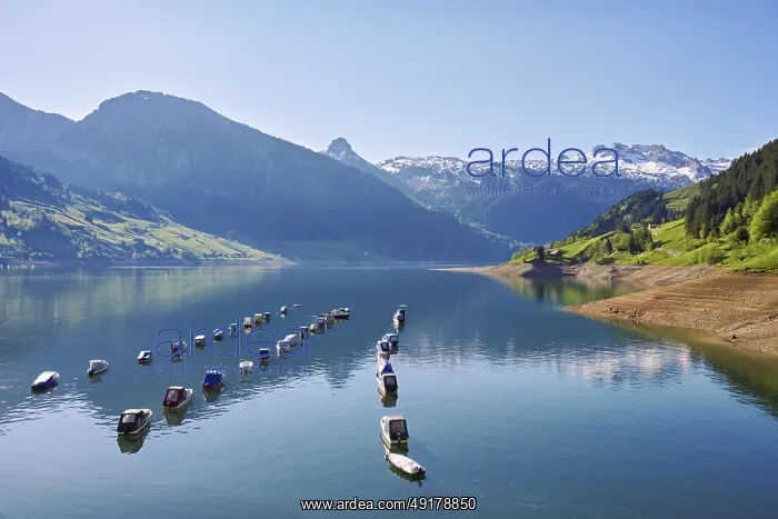 : Motorboats moored at the reservoir : Motorboats moored at the reservoir