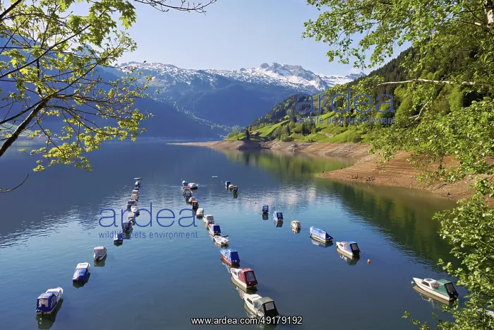 : Motorboats moored at the reservoir : Motorboats moored at the reservoir