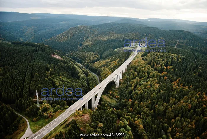 : Motorway A71 in front of Rennsteig tunnel in the : Motorway A71 in front of Rennsteig tunnel in the