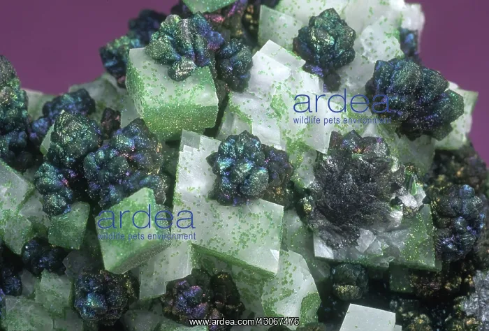 : Mottramite on Calcite : Mottramite on Calcite