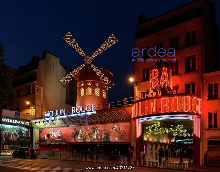 : Moulin Rouge at night, Pigalle, Montmartre, Paris : Moulin Rouge at night, Pigalle, Montmartre, Paris