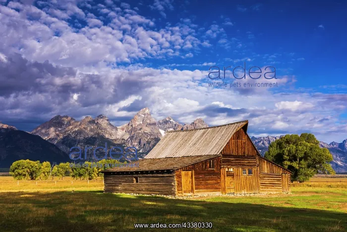 : The Moulton Barn on Mormon Row, Grand Teton National : The Moulton Barn on Mormon Row, Grand Teton National