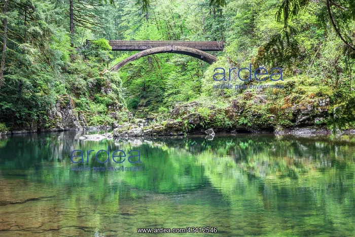 : Moulton Falls Regional Park, Yacolt, Washington : Moulton Falls Regional Park, Yacolt, Washington