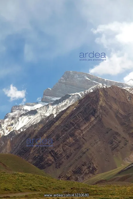 : Mount Aconcagua in the Andes Mountain Range : Mount Aconcagua in the Andes Mountain Range