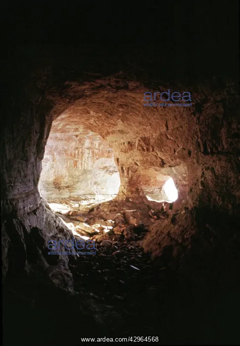 : Mount Autana (Cerro Autana), Cave, Amazonas territory : Mount Autana (Cerro Autana), Cave, Amazonas territory