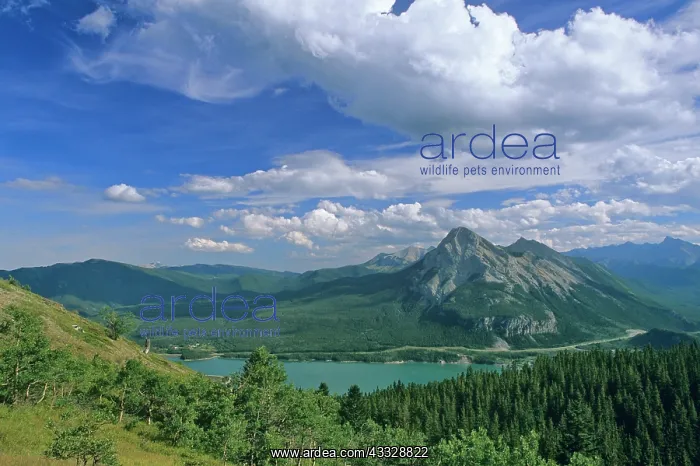 : Mount Baldy and Barrier Lake in the Kananaskis : Mount Baldy and Barrier Lake in the Kananaskis