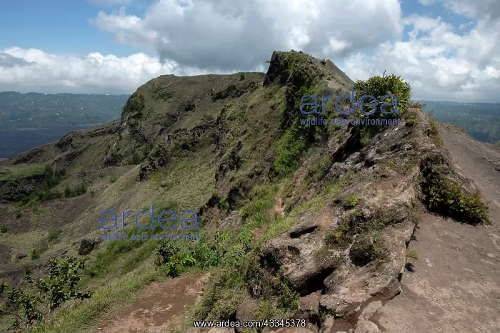 : Mount Batur crater rim - Bangli Regency, Bali, Indonesia : Mount Batur crater rim - Bangli Regency, Bali, Indonesia