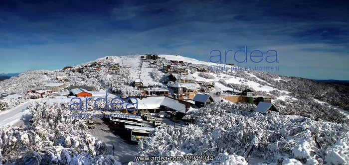 : Mount Buler ski resort.aerial image. Mount Buller : Mount Buler ski resort.aerial image. Mount Buller