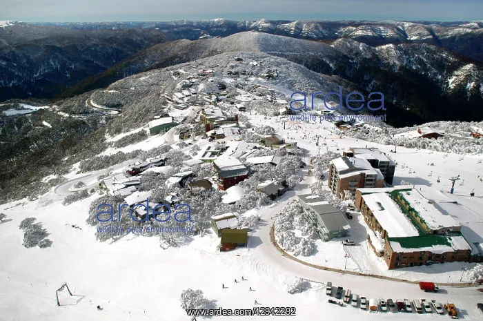  : Mount Buller Alpine Resort Mount Buller Alpine