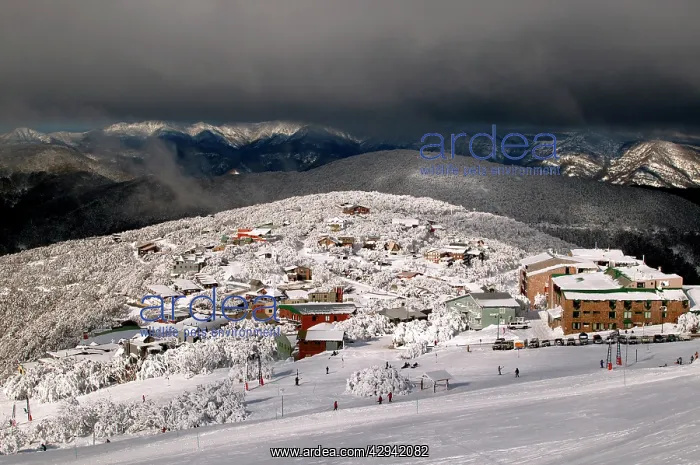 : Mount Buller Alpine Resort ski village. under dark : Mount Buller Alpine Resort ski village. under dark