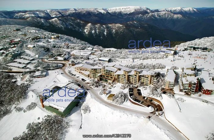 : Mount Buller Alpine Resort in winter.Northeast : Mount Buller Alpine Resort in winter.Northeast