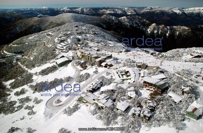 : Mount Buller Alpine Resort in winter.Northeast : Mount Buller Alpine Resort in winter.Northeast