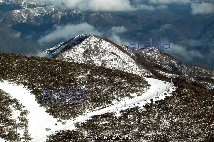 : Mount Buller Alpine Resort.Little Buller (background) : Mount Buller Alpine Resort.Little Buller (background)