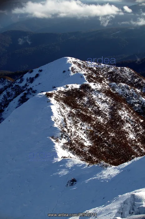 : Mount Buller Alpine Resort.Mt Buller summit. northeastern : Mount Buller Alpine Resort.Mt Buller summit. northeastern