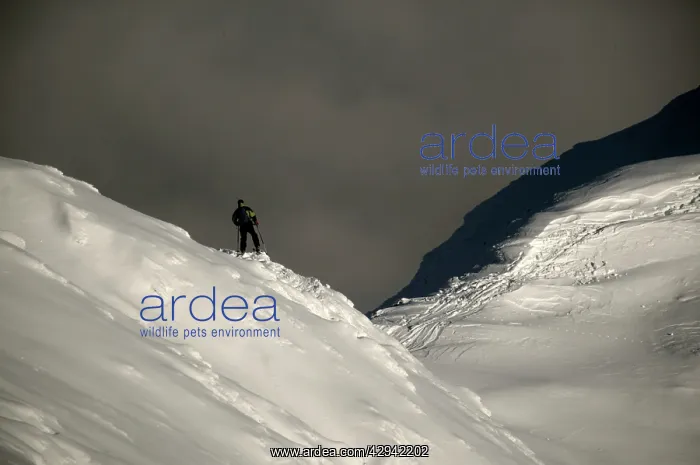 : Mount Buller Alpine Resort.with lone skier on ski : Mount Buller Alpine Resort.with lone skier on ski