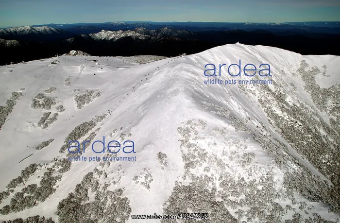 : Mount Buller Alpine Resort.with view to mountain : Mount Buller Alpine Resort.with view to mountain