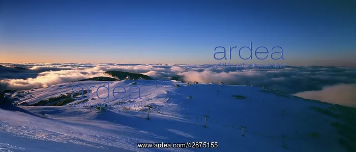 : Mount Buller Ski Resort : Mount Buller Ski Resort