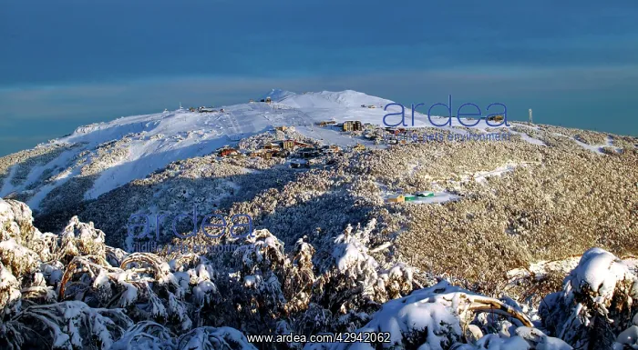 : Mount Buller ski resort from Corn Hill Mount Buller : Mount Buller ski resort from Corn Hill Mount Buller