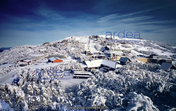 : Mount Buller Ski Resort.Mount Buller, Northeast : Mount Buller Ski Resort.Mount Buller, Northeast