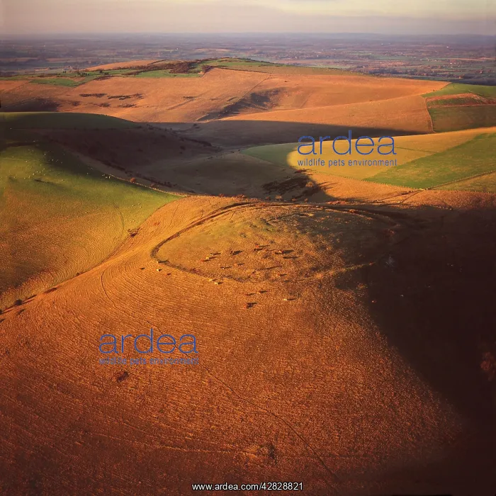 : Mount Caburn with the remains of an Iron Age hill : Mount Caburn with the remains of an Iron Age hill