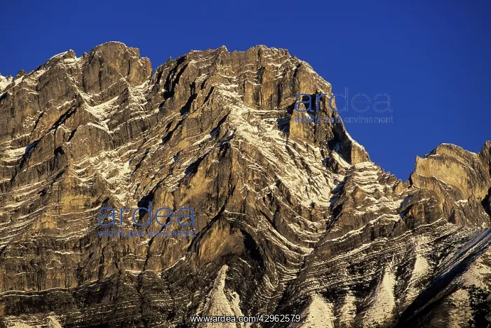  : Mount Cascade near Banff Town