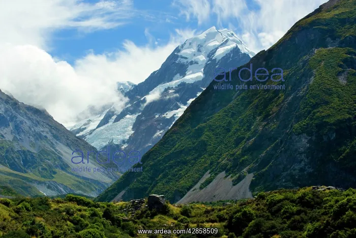 : Mount Cook - view into Hooker valley and the highest : Mount Cook - view into Hooker valley and the highest