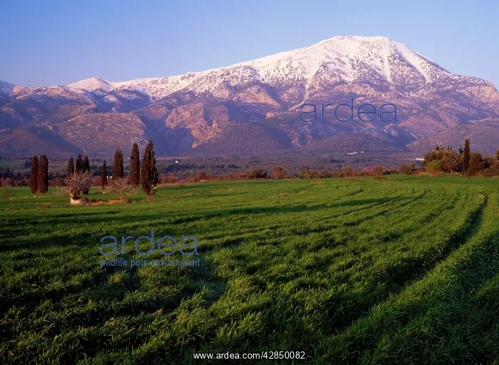 : Mount Dirfas from the West : Mount Dirfas from the West