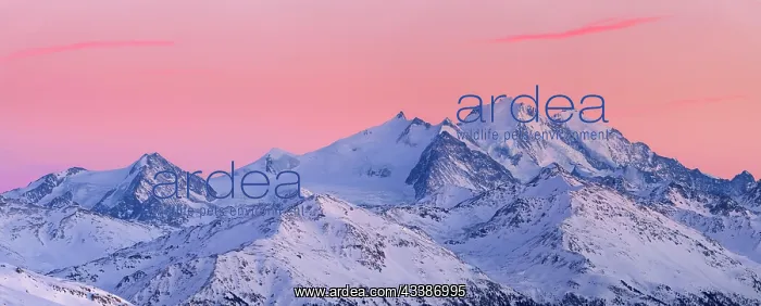 : Mount Dom in the last light, red sky, Valais, Switzerland : Mount Dom in the last light, red sky, Valais, Switzerland