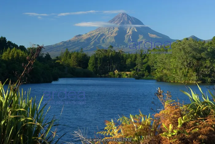 : Mount Egmont - lake and perfectly cone-shaped volcanoe : Mount Egmont - lake and perfectly cone-shaped volcanoe